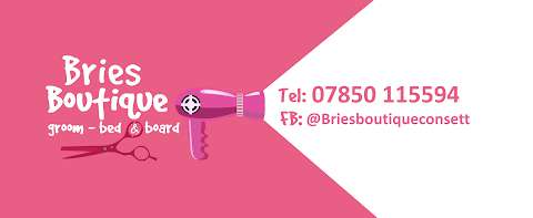 Brie's Boutique - dog grooming & dog boarding photo